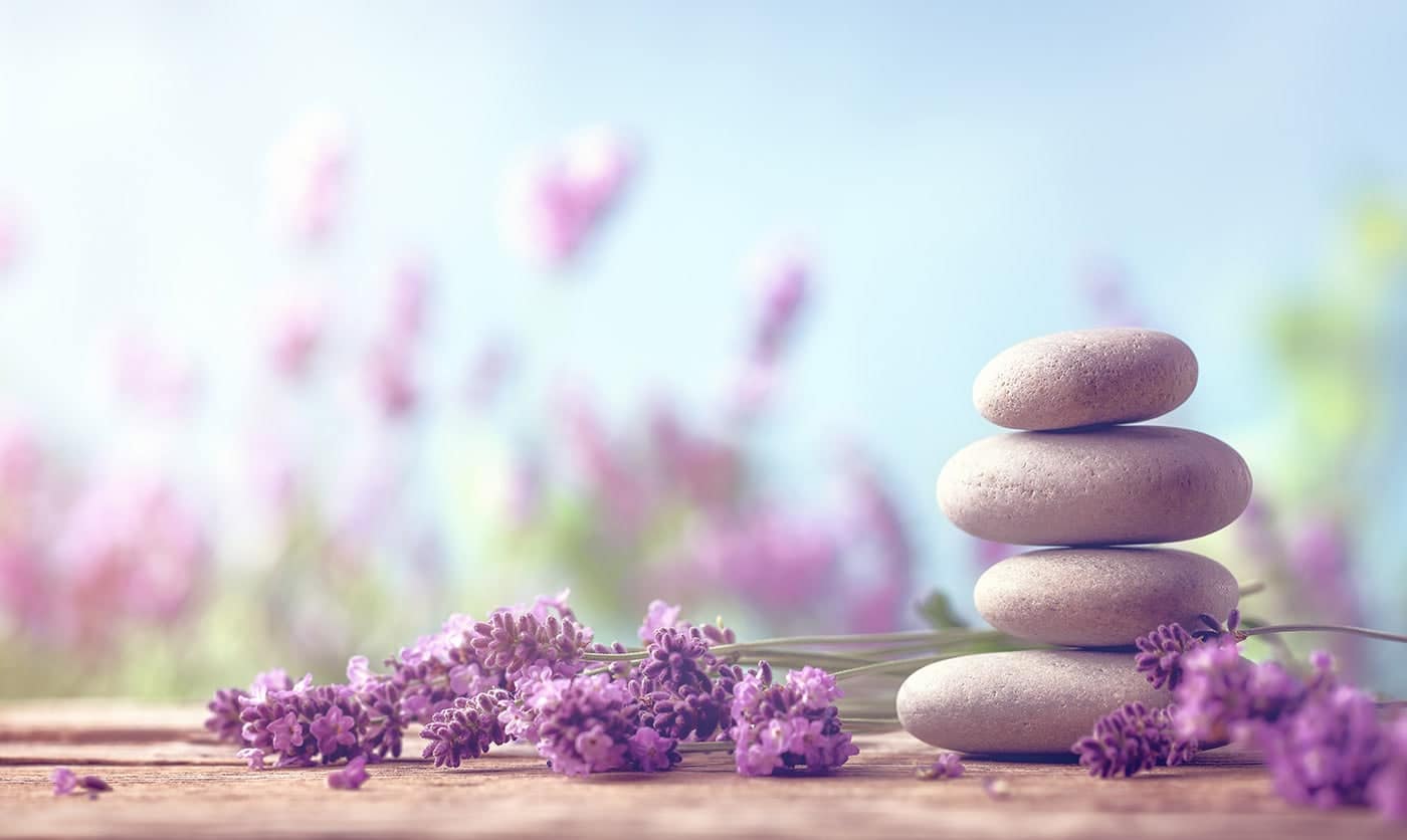 lavendel-massage-wu-bruehl